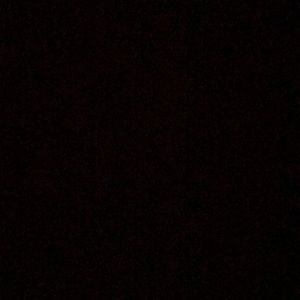 Meet your Posher, Will